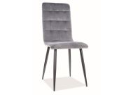 Jídelní čalouněná židle CASA 11641 VELVET šedá/černá
